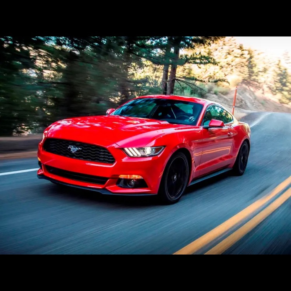 Meet your Posher, Will